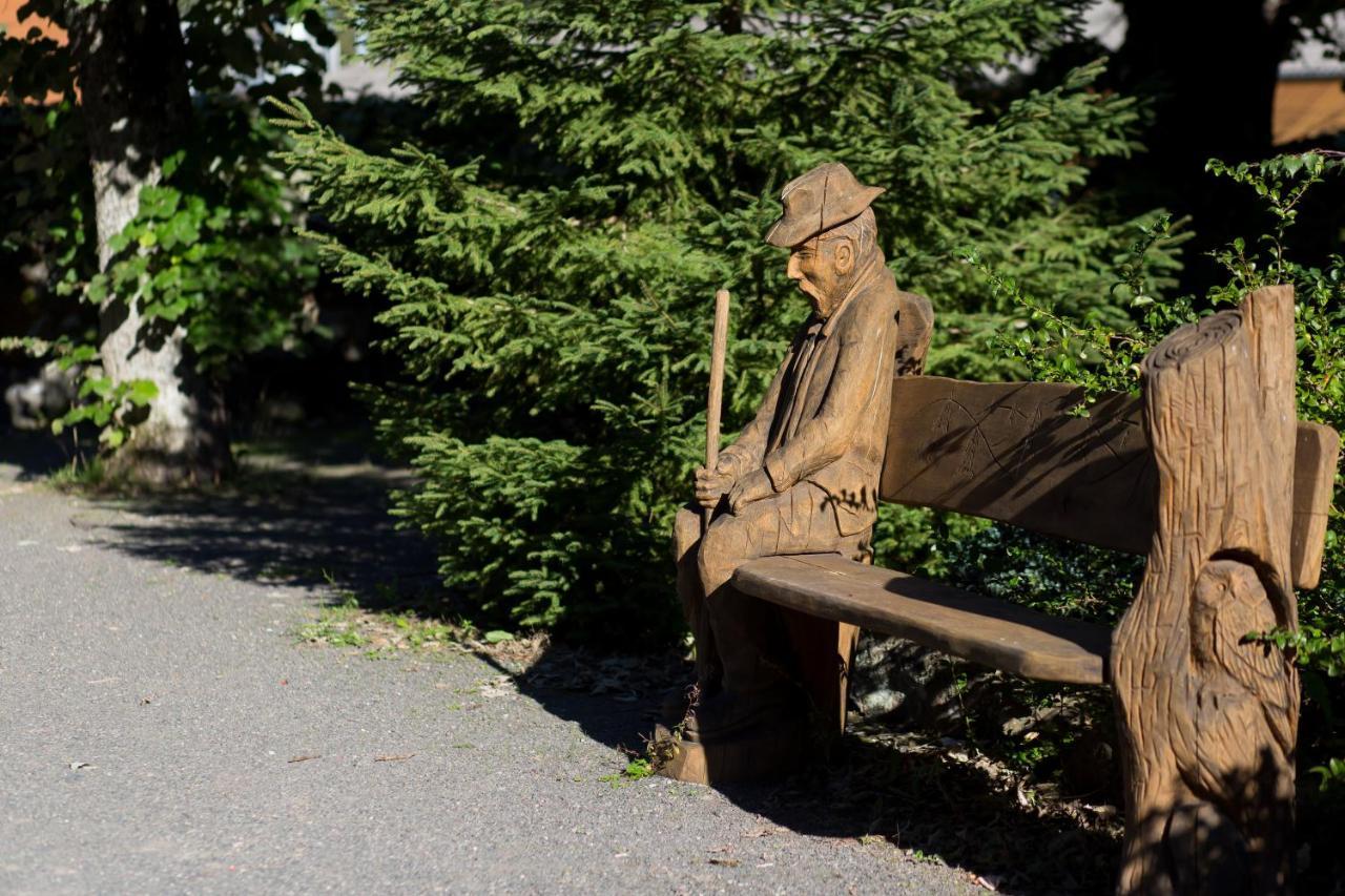 Hotel Le Freudeneck Wangenbourg-Engenthal Zewnętrze zdjęcie