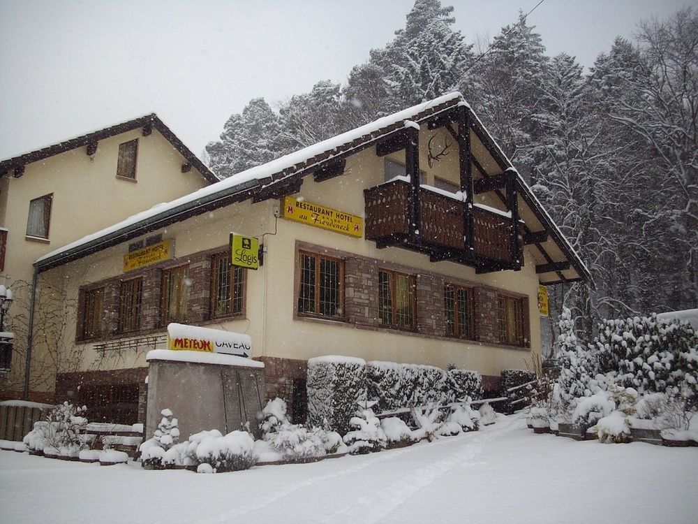 Hotel Le Freudeneck Wangenbourg-Engenthal Zewnętrze zdjęcie